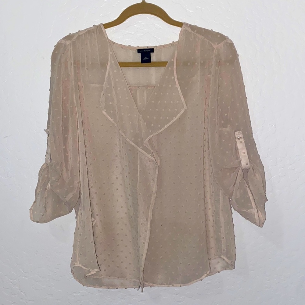 AnnTaylor Tan Shear Blouse